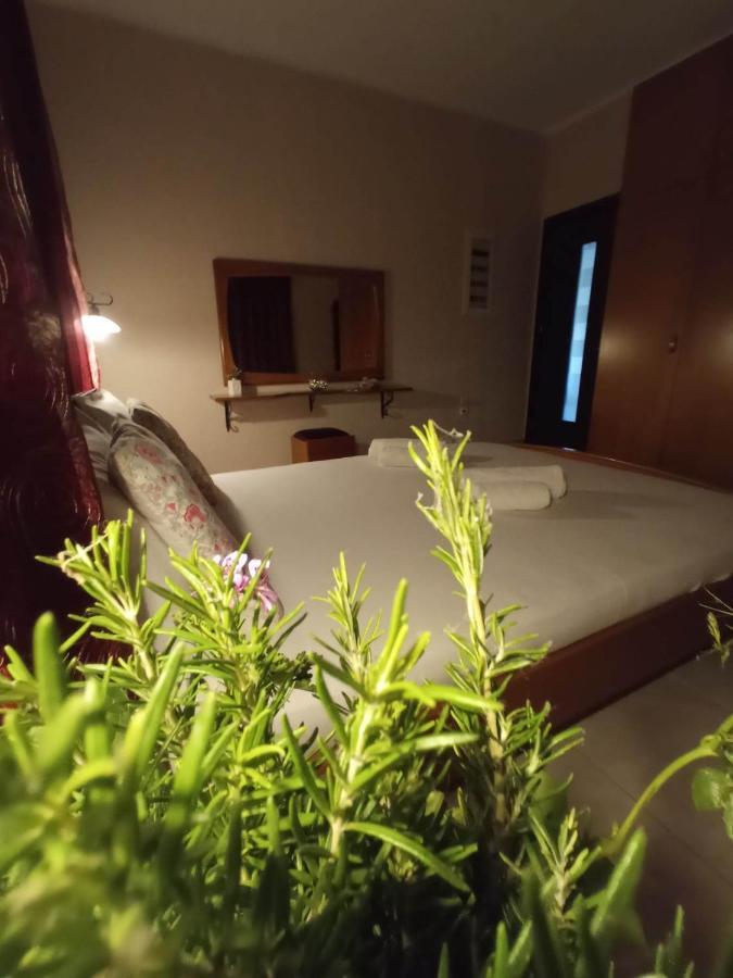 Villa Erasmia Dekarcho Εξωτερικό φωτογραφία